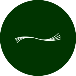 Logo van Duurzame Producten Shop