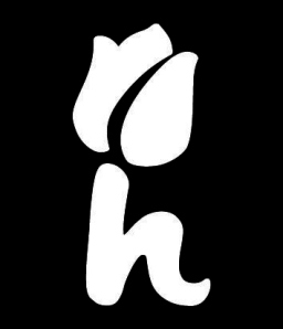 Logo van Hoesjes Boetiek