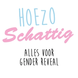 Logo van HoezoSchattig.nl