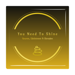 You Need To Shine