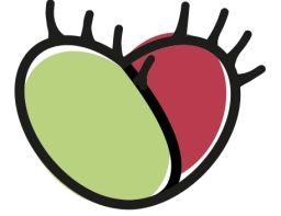 Logo van Carnifari Vleesetende Planten