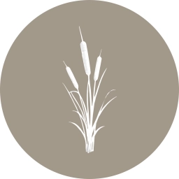 Logo van Toesebol kaarsen