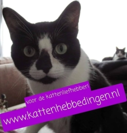 Logo van Kattenhebbedingen