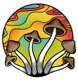 Logo van Magictruffels.shop