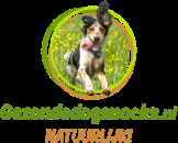 gezondedogsnacks.nl