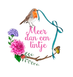 Logo van Meer dan een lintje