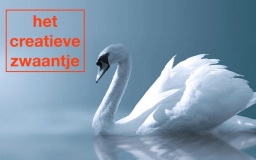 Logo van hetcreatievezwaantje.