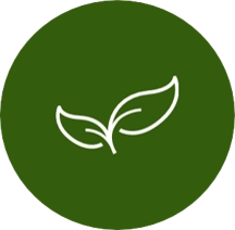 Logo van Topplantenshop