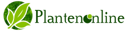 Logo van Plantenonline