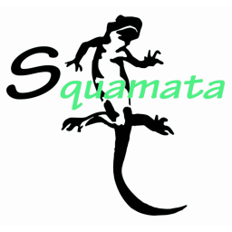 Squamata