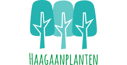 Haagaanplanten.nl