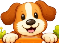 Hondenpleintje.nl | D&eacute; specialist in indoor & outdoor honden artikelen 🐶