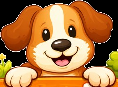 Hondenpleintje.nl | Dé specialist in indoor & outdoor honden artikelen 🐶