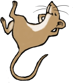 Logo van Hangmatjes Enzo