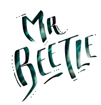 Mr Beetle