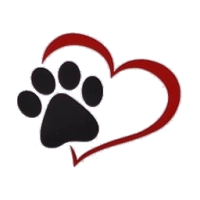 Izzy's Halsbanden en Lijnen