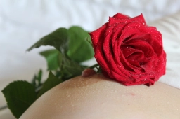 Logo van Romantic Toys