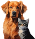 Hond & Kat