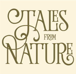 Tales from Nature