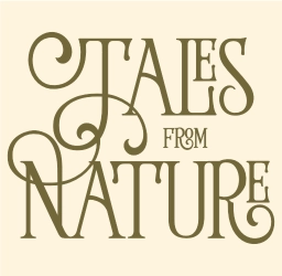 Logo van Tales from Nature