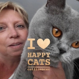 Logo van Cattery Efezia / shop