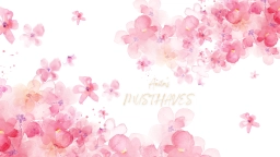 Logo van Anita's MUSTHAVES