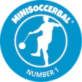 Minisoccerbal