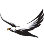 Logo van silver-eagle.nl
