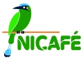 Nicafé