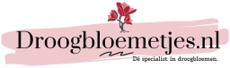 Logo van Droogbloemetjes.nl