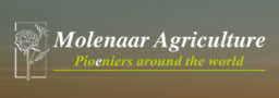 Molenaar Agriculture