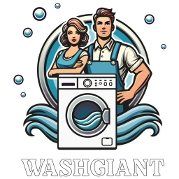 Logo van Washgiant