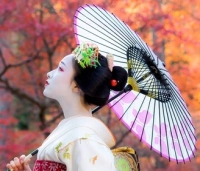 De Japanse Zijdewinkel