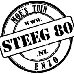 Logo van Steeg80