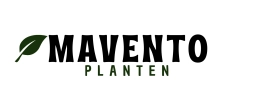 Logo van Mavento planten