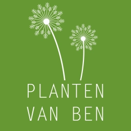 Logo van Planten van Ben