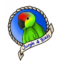 Jungle4birds