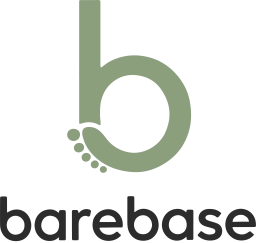 Лого на Barebase